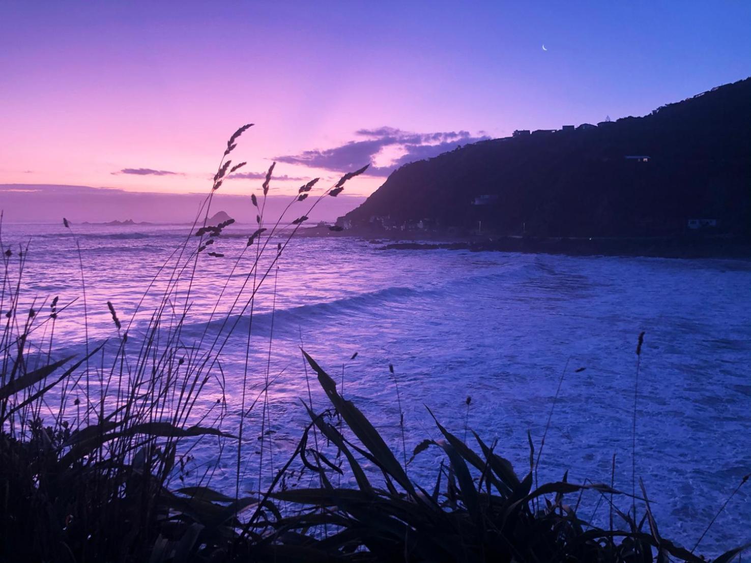 فيلا Stunning Views Ocean-Front ويلينغتون المظهر الخارجي الصورة